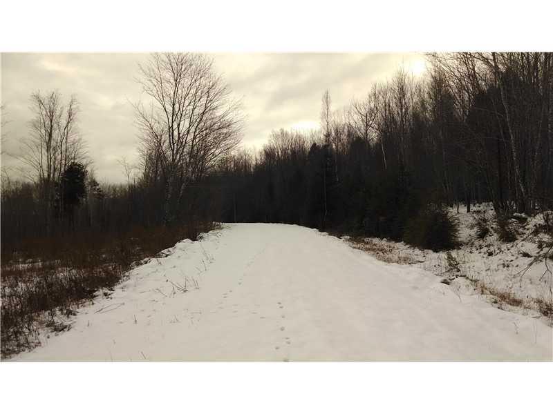 Lot # Prescott Brook Road Springfield, ME 04487 - Photo 3 of 6 Exterior Front.