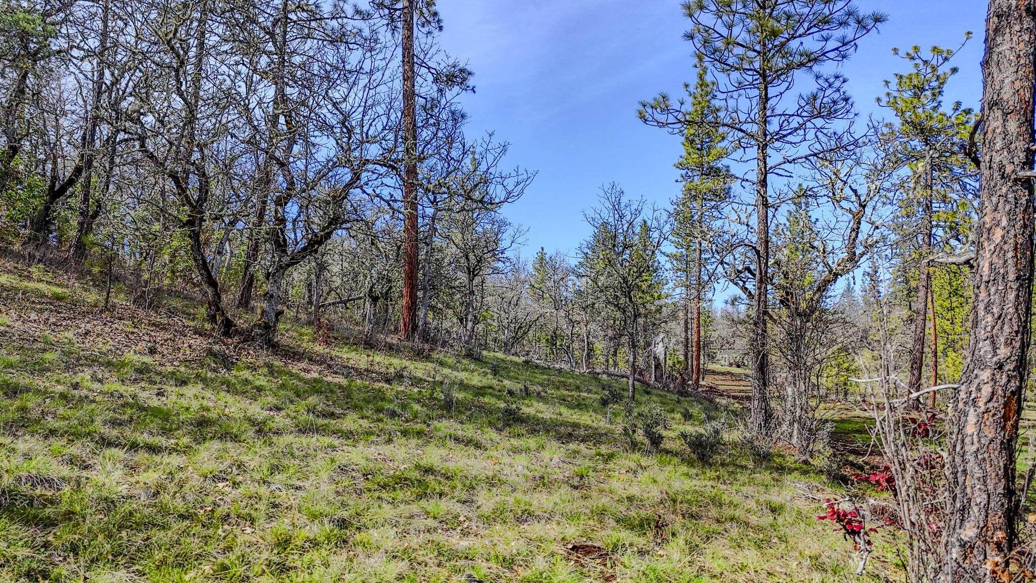 506 Greenleaf Drive Eagle Point, OR 97524 - Photo 38 of 38 DJI_20260227141747_0598_D-HDR