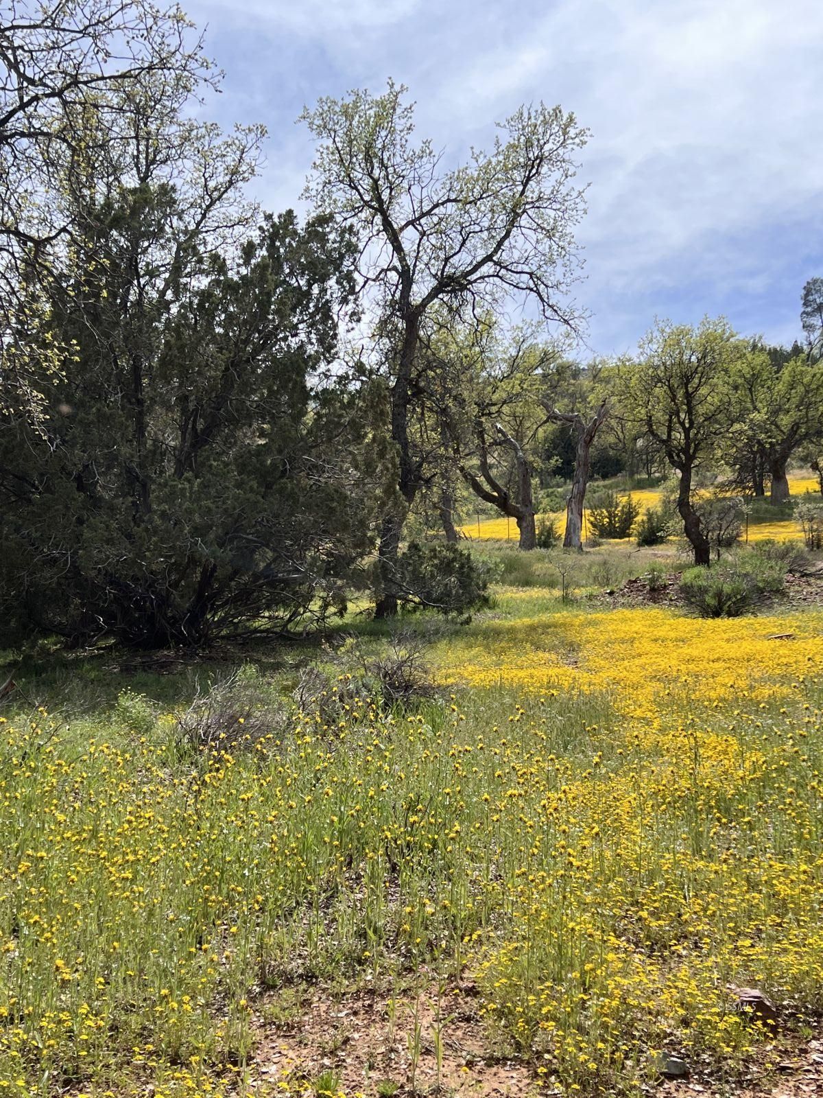 Hughes Rd Lake Bodfish, CA 93205 - Photo 2 of 19 Gallery Image 2