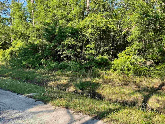 a view of a yard with plants and trees