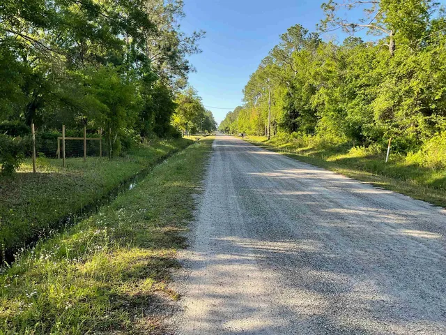 a view of yard with green space