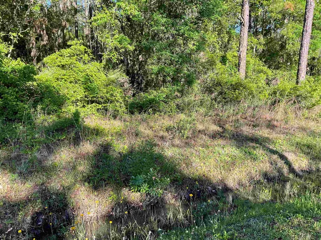 a view of a lake from a yard
