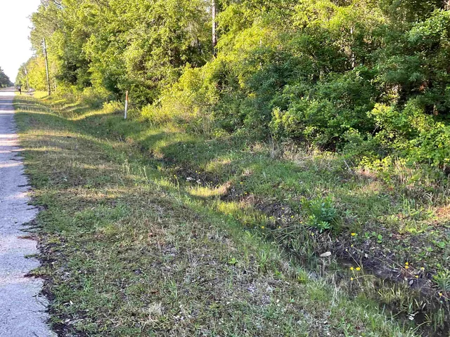 a view of yard with green space
