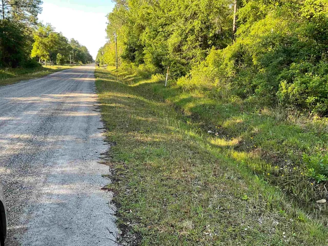 a view of a garden with plants