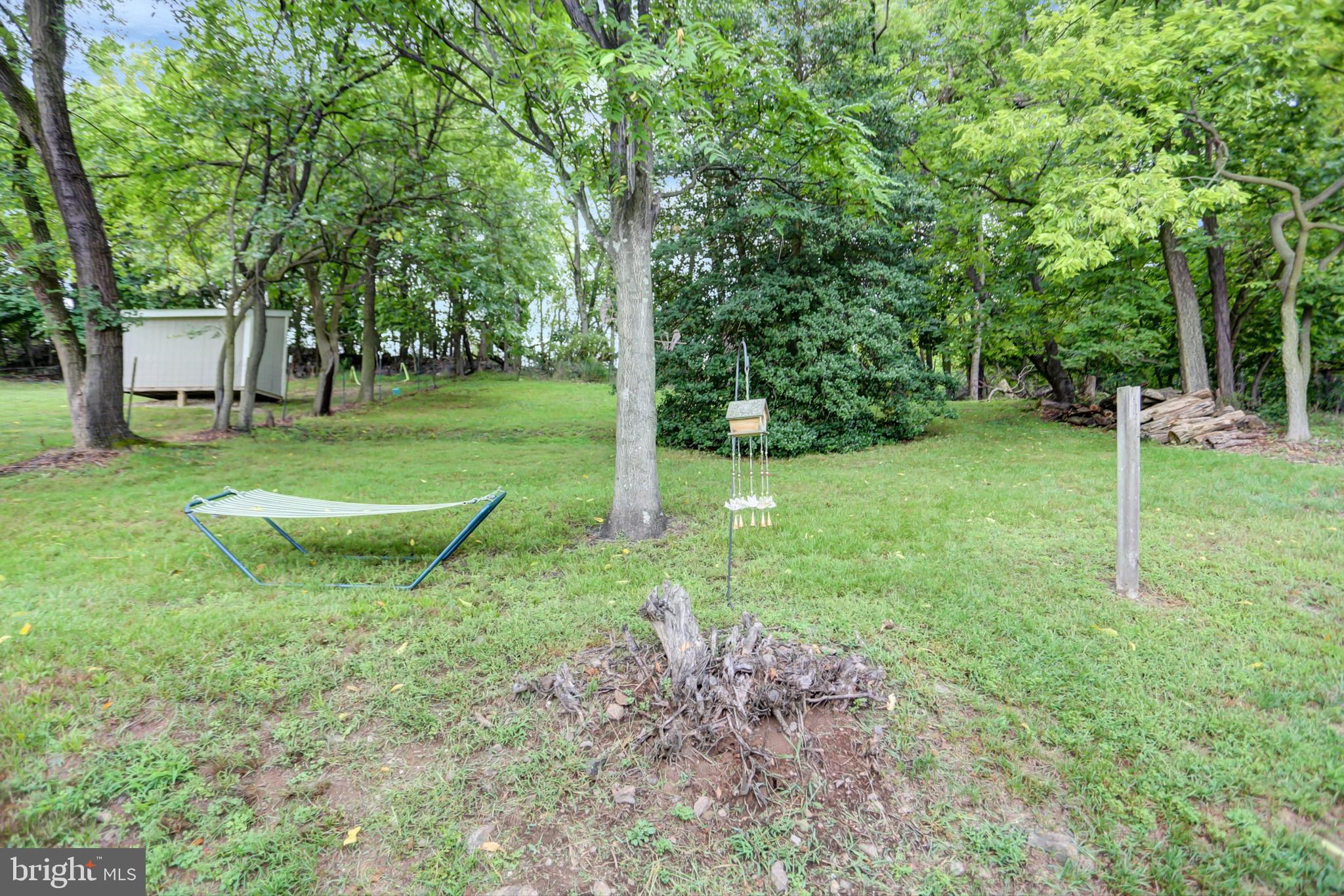 227 South Main Street Boonsboro, MD 21713 - Photo 44 of 53 a view of a park with large trees