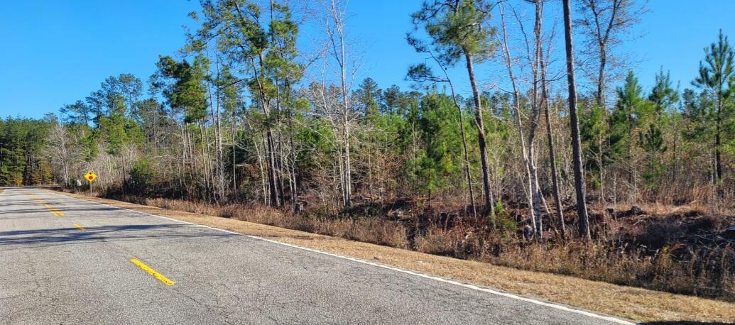 0 George Warren Drive Ruffin, SC 29475 - Photo 1 of 3 View from George Warren Dr
