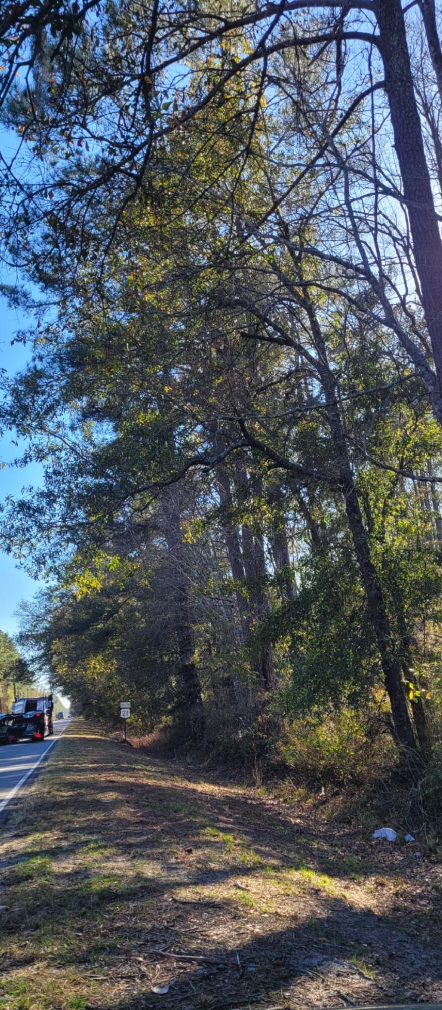 0 George Warren Drive Ruffin, SC 29475 - Photo 2 of 3 View from Lowcountry Highway