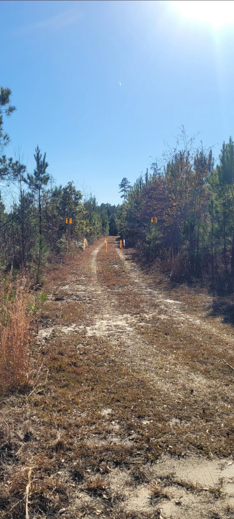 0 George Warren Drive Ruffin, SC 29475 - Photo 3 of 3 Screenshot_20231223_153025_Gallery
