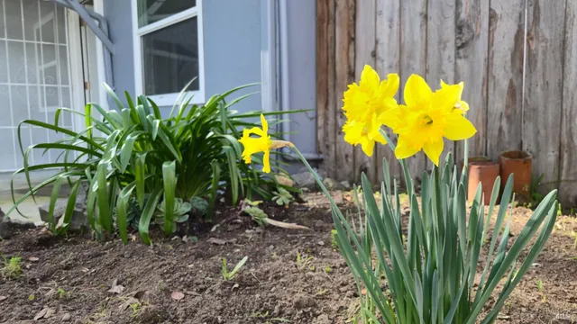 $739,000 | 730 Lewis Road, Santa Rosa, CA 95404