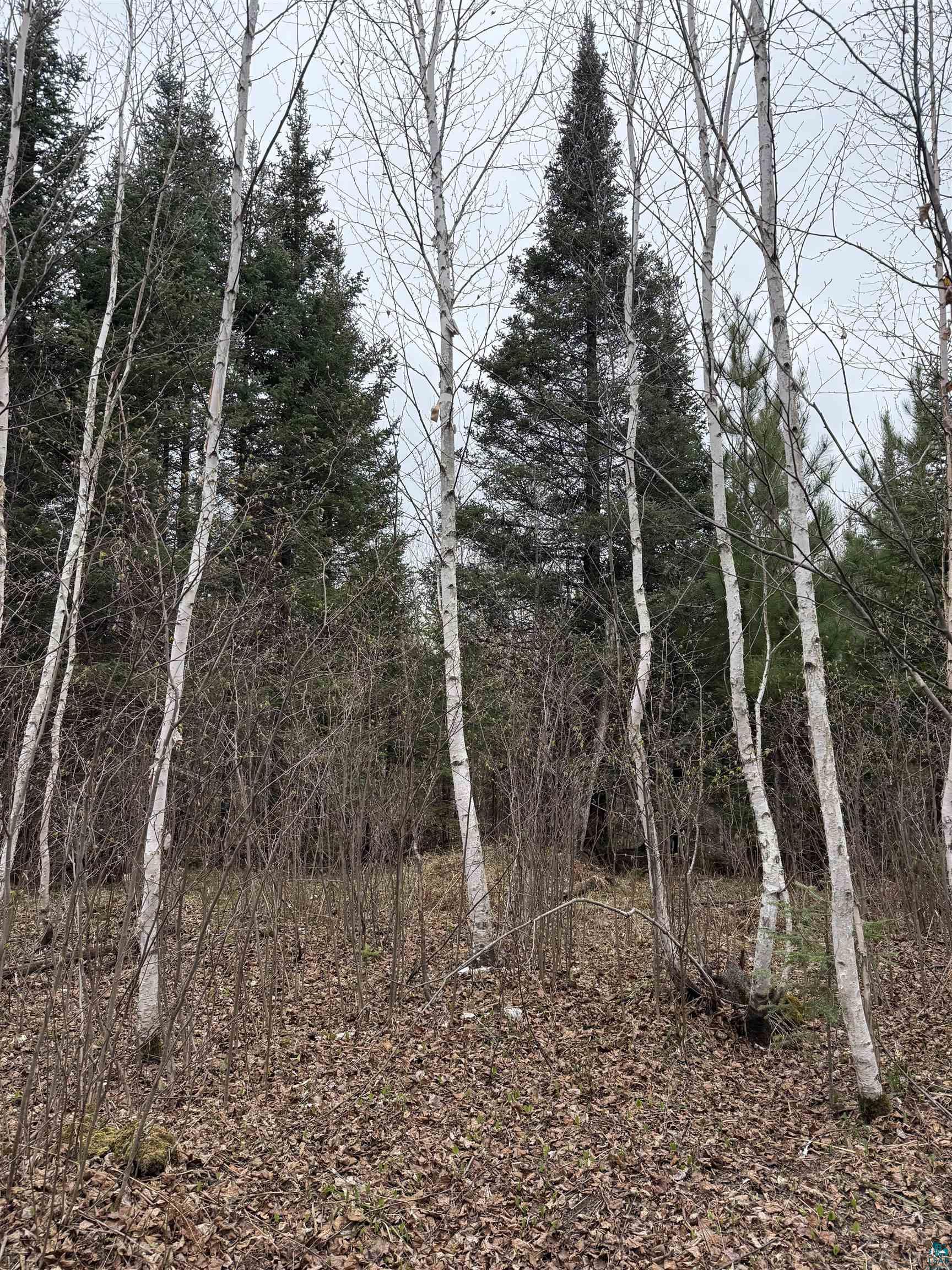 Tbd Scout Camp Road Eveleth, MN 55734 - Photo 11 of 15
