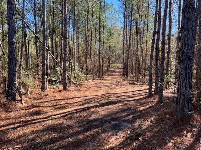 0 Bass Bridge Road Andalusia, AL 36420 - Photo 4 of 15 Gallery Image 4