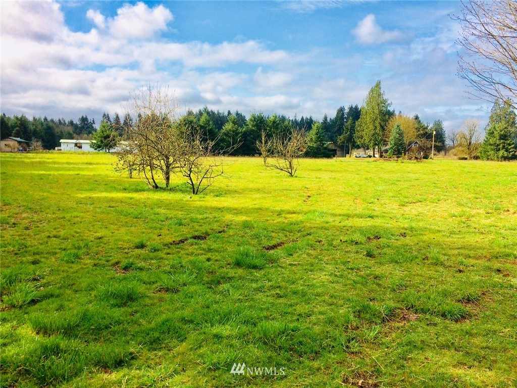 11537 School Land Road Southwest Rochester, WA 98579 - Photo 17 of 17