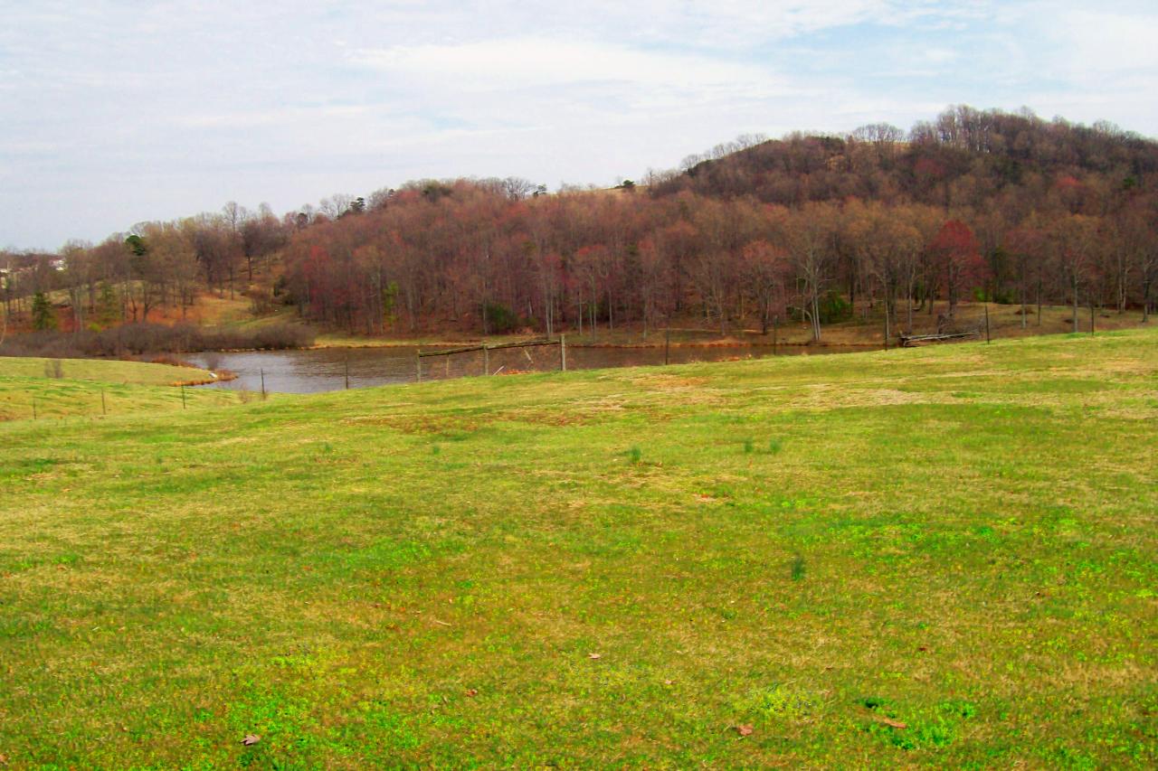 1494 Mill Iron Road Goodview, VA 24095 - Photo 2 of 10 a view of a lake with mountains in the background