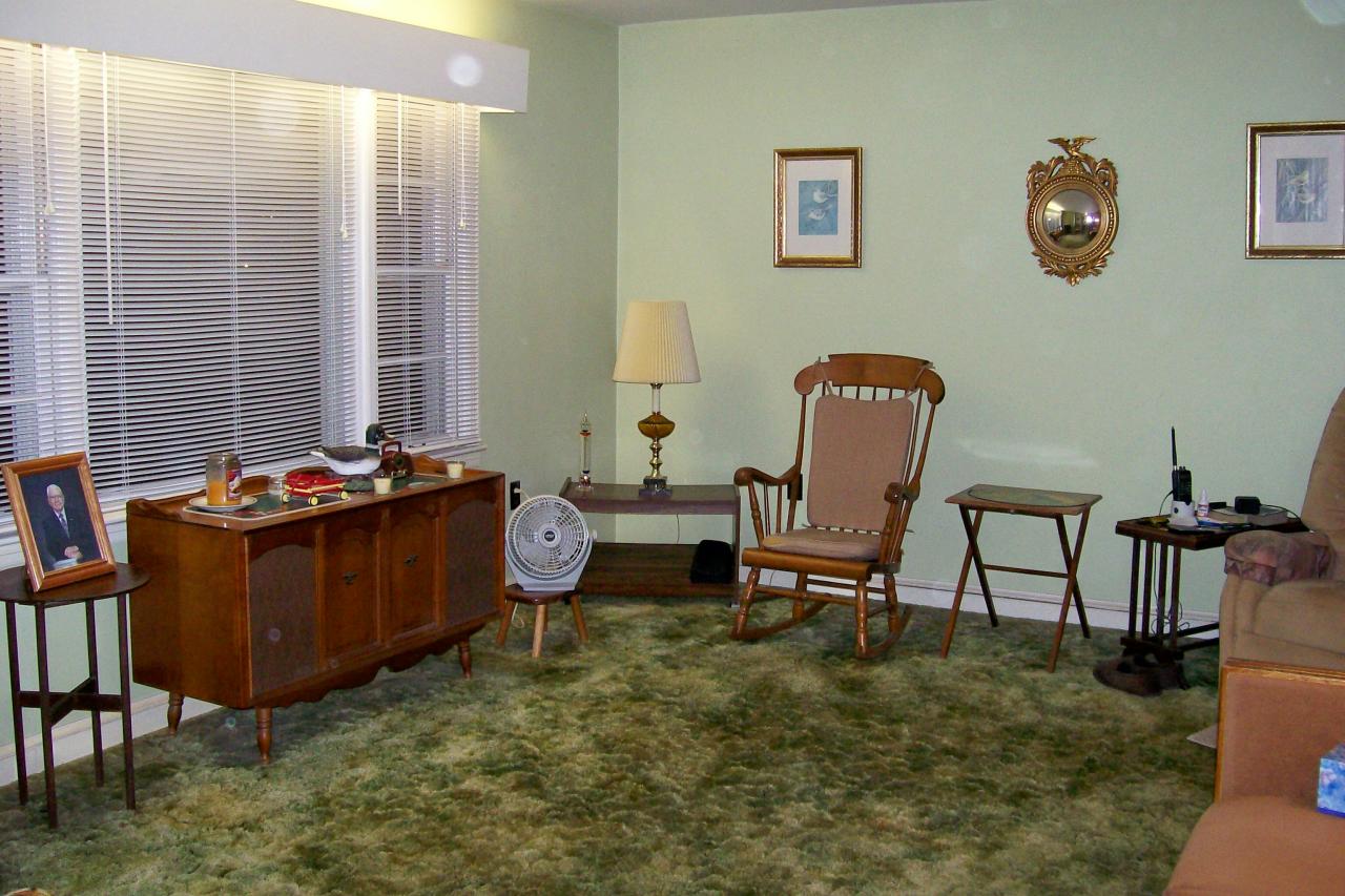1494 Mill Iron Road Goodview, VA 24095 - Photo 3 of 10 a living room with furniture