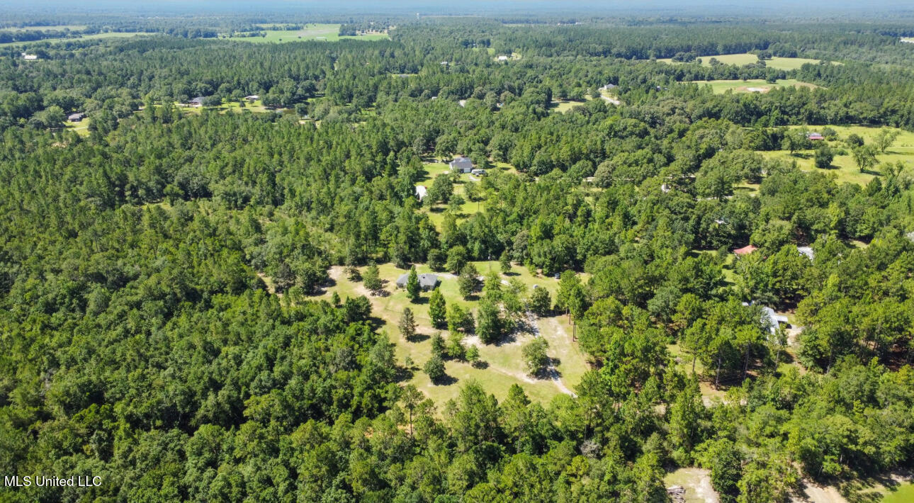 26710 Polktown Road Lucedale, MS 39452 - Photo 20 of 21 IMG_7357