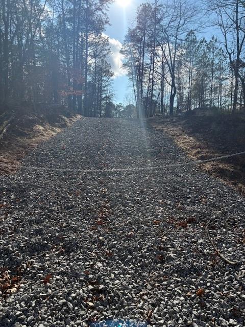 100 Chippewa Trail Canton, GA 30114 - Photo 1 of 1 a view of a yard with large trees