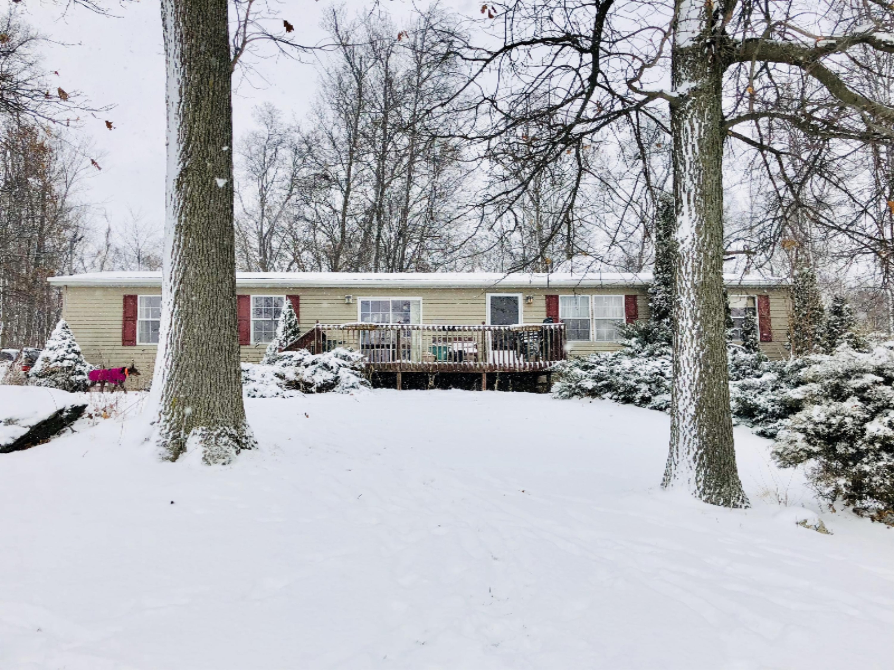 13979 Mohney Lake Road Three Rivers, MI 49093 - Photo 1 of 23 IMG_0326
