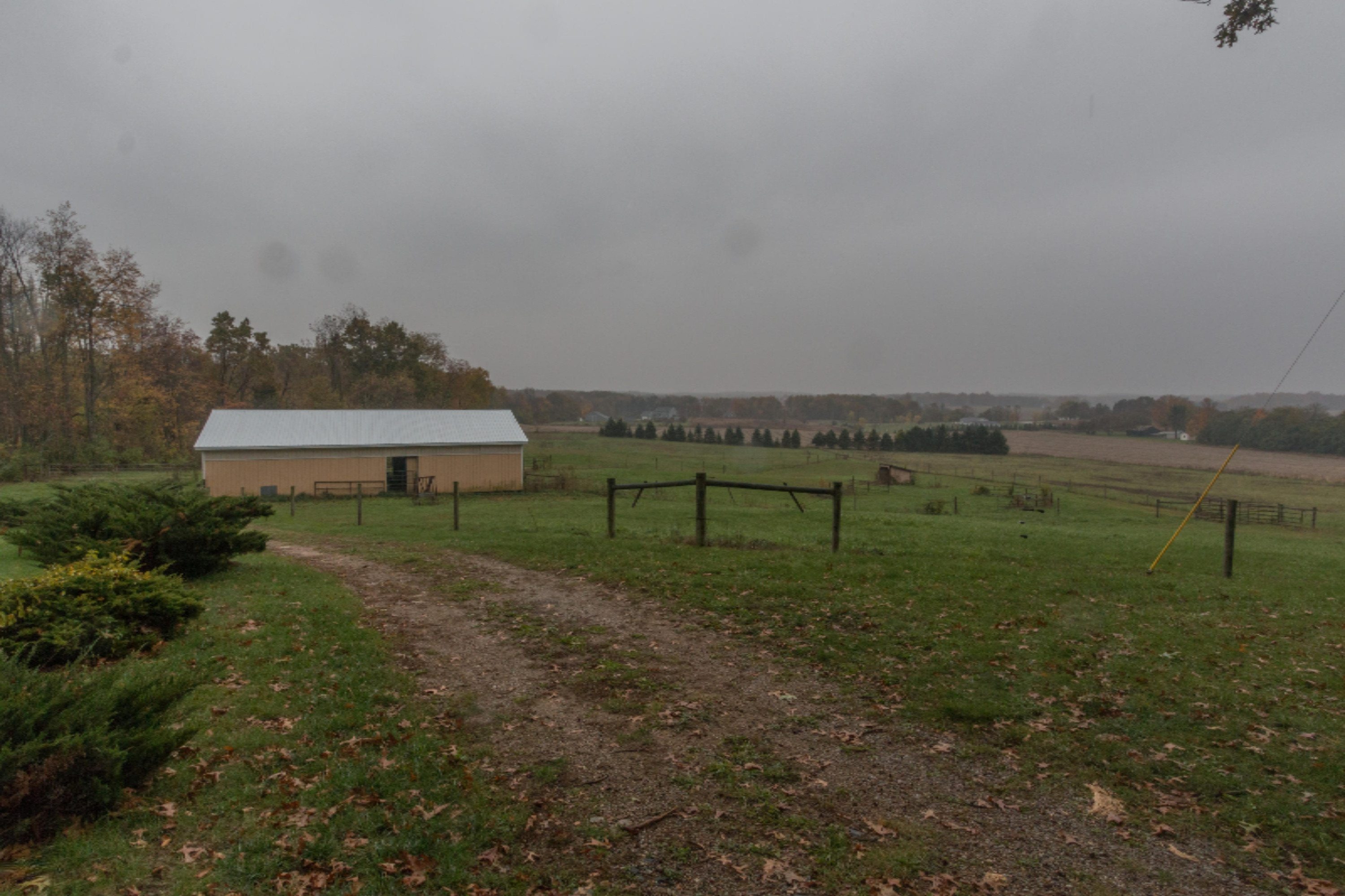 13979 Mohney Lake Road Three Rivers, MI 49093 - Photo 17 of 23 Mohney Lake-31