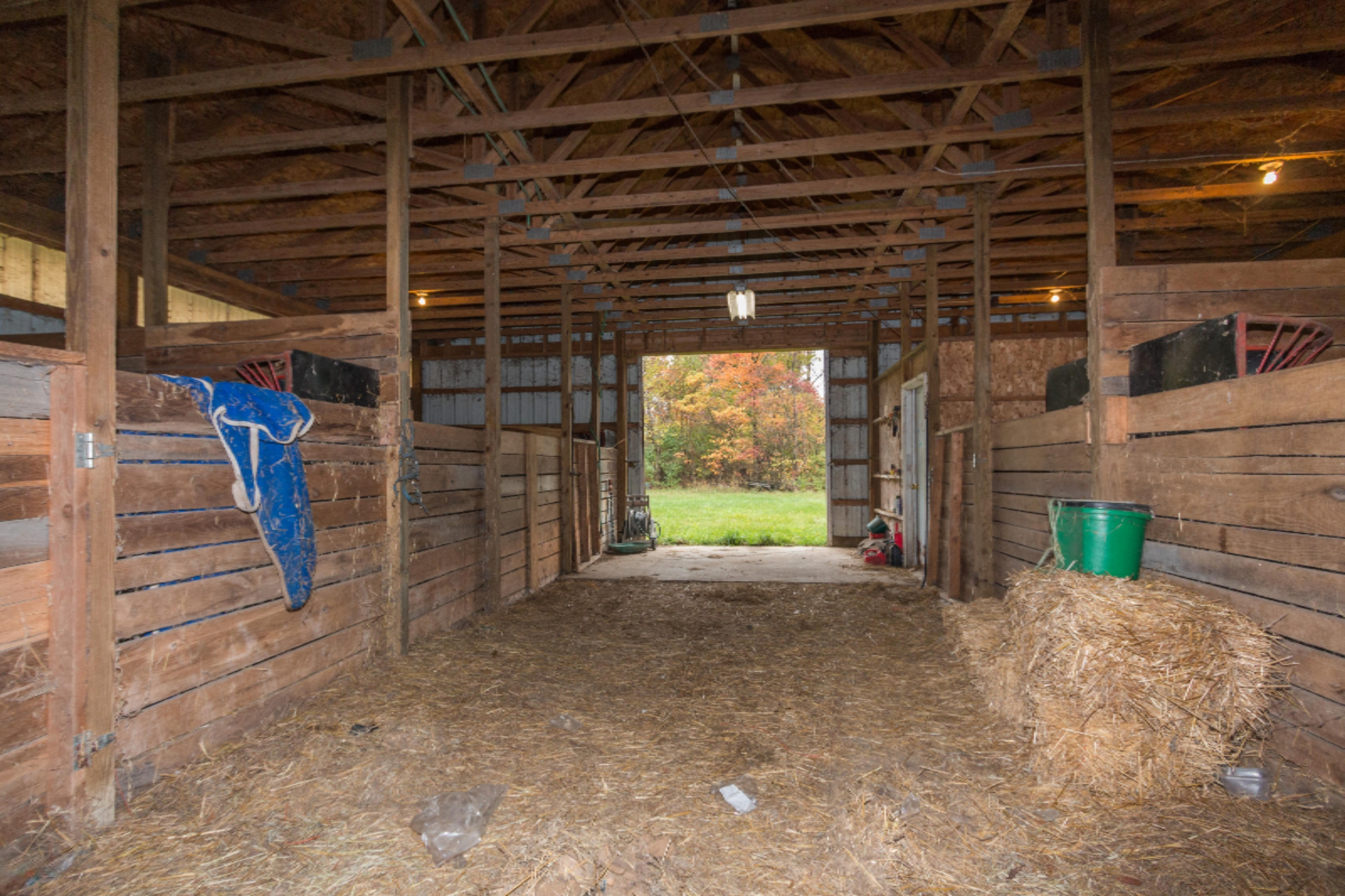 13979 Mohney Lake Road Three Rivers, MI 49093 - Photo 18 of 23 Mohney Lake-27