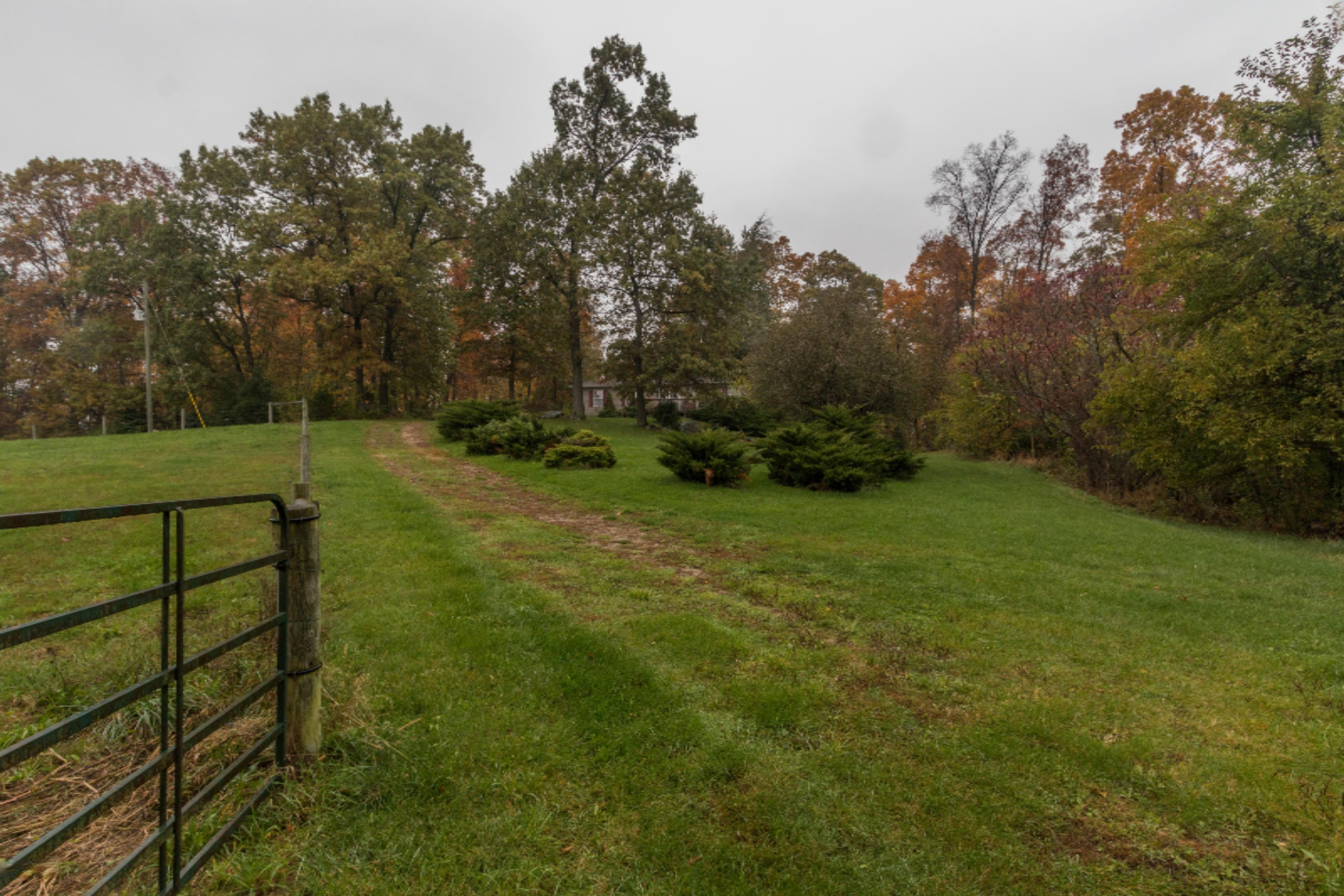 13979 Mohney Lake Road Three Rivers, MI 49093 - Photo 20 of 23 Mohney Lake-29 (1)