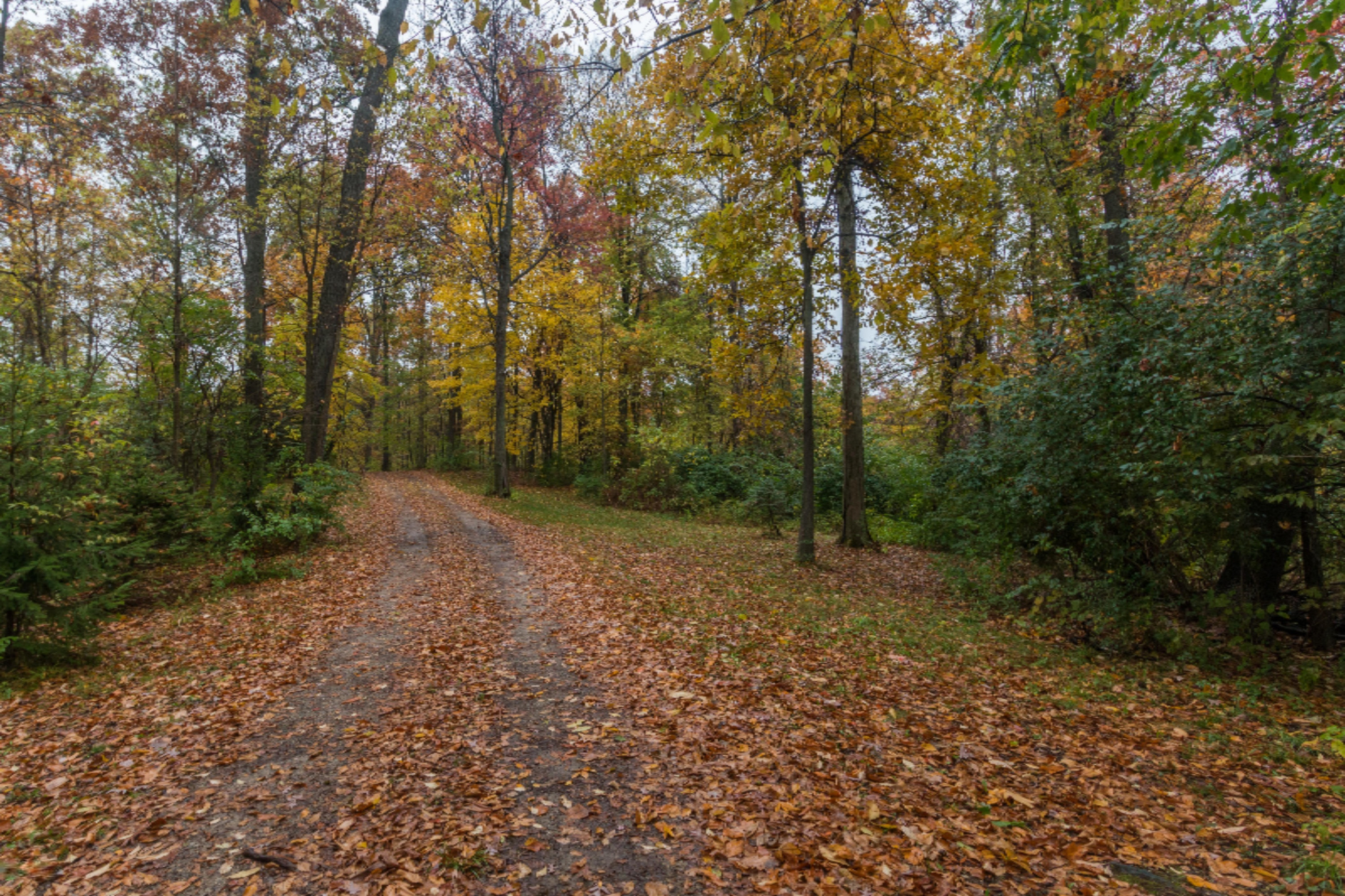 13979 Mohney Lake Road Three Rivers, MI 49093 - Photo 21 of 23 Mohney Lake-21