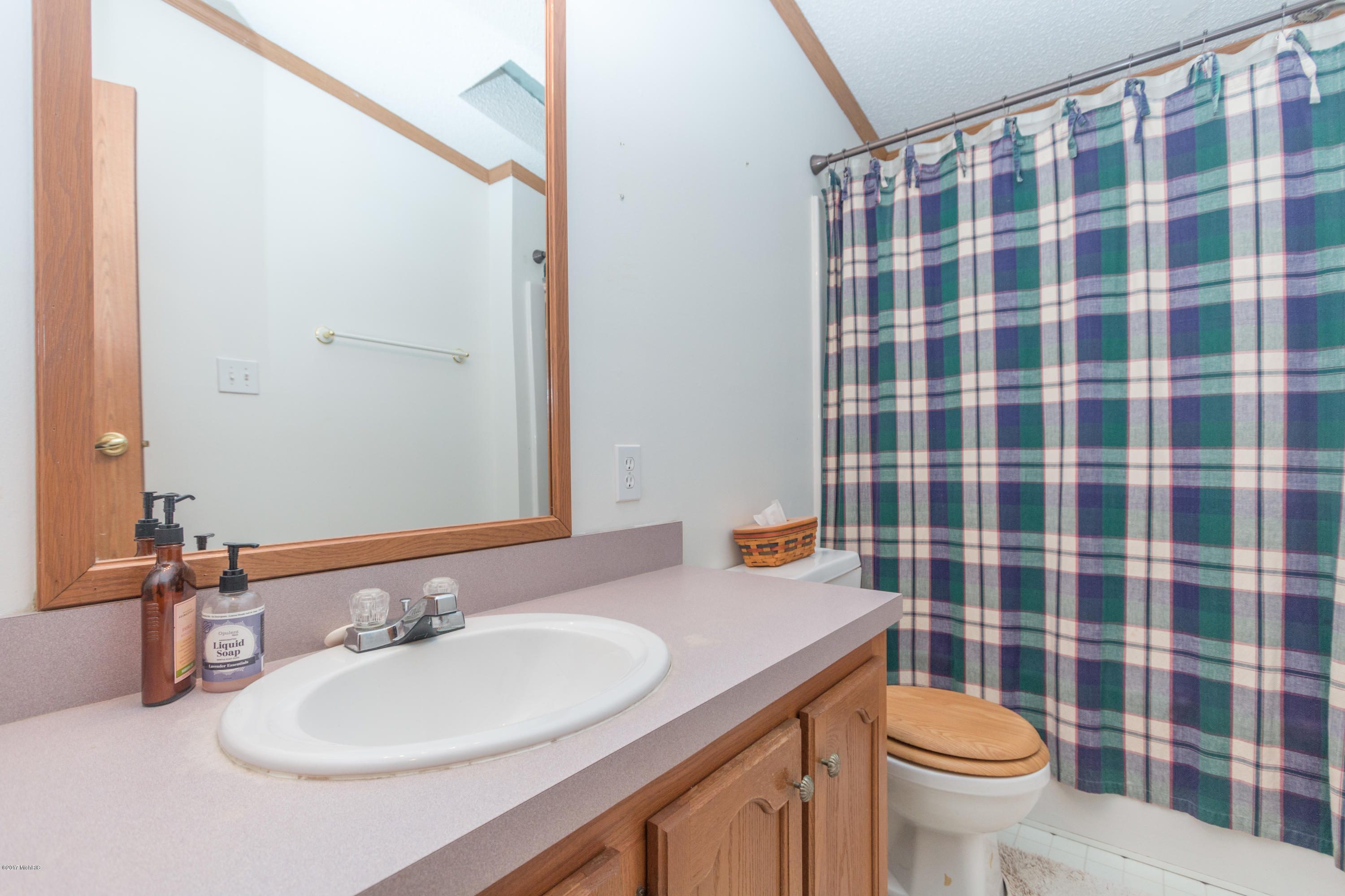 13979 Mohney Lake Road Three Rivers, MI 49093 - Photo 7 of 23 Mohney Lake-07