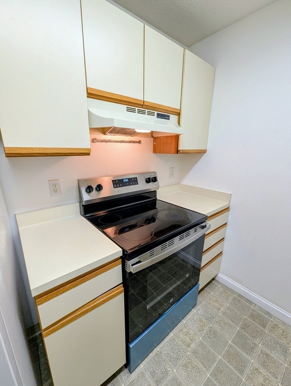 809 Franklin Crossing Road, Unit 809 Franklin, MA 02038 - Photo 6 of 15 a room with storage and utility