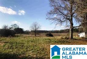 37705 Highway 75 Oneonta, AL 35121 - Photo 28 of 38 Gallery Image 28