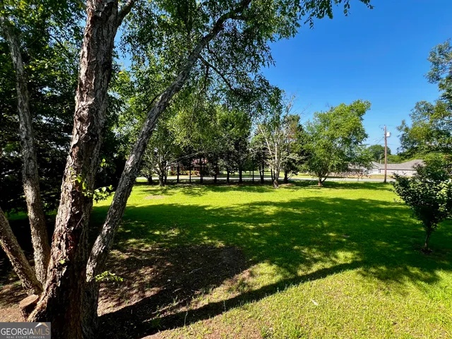 a view of yard with swimming pool and green space