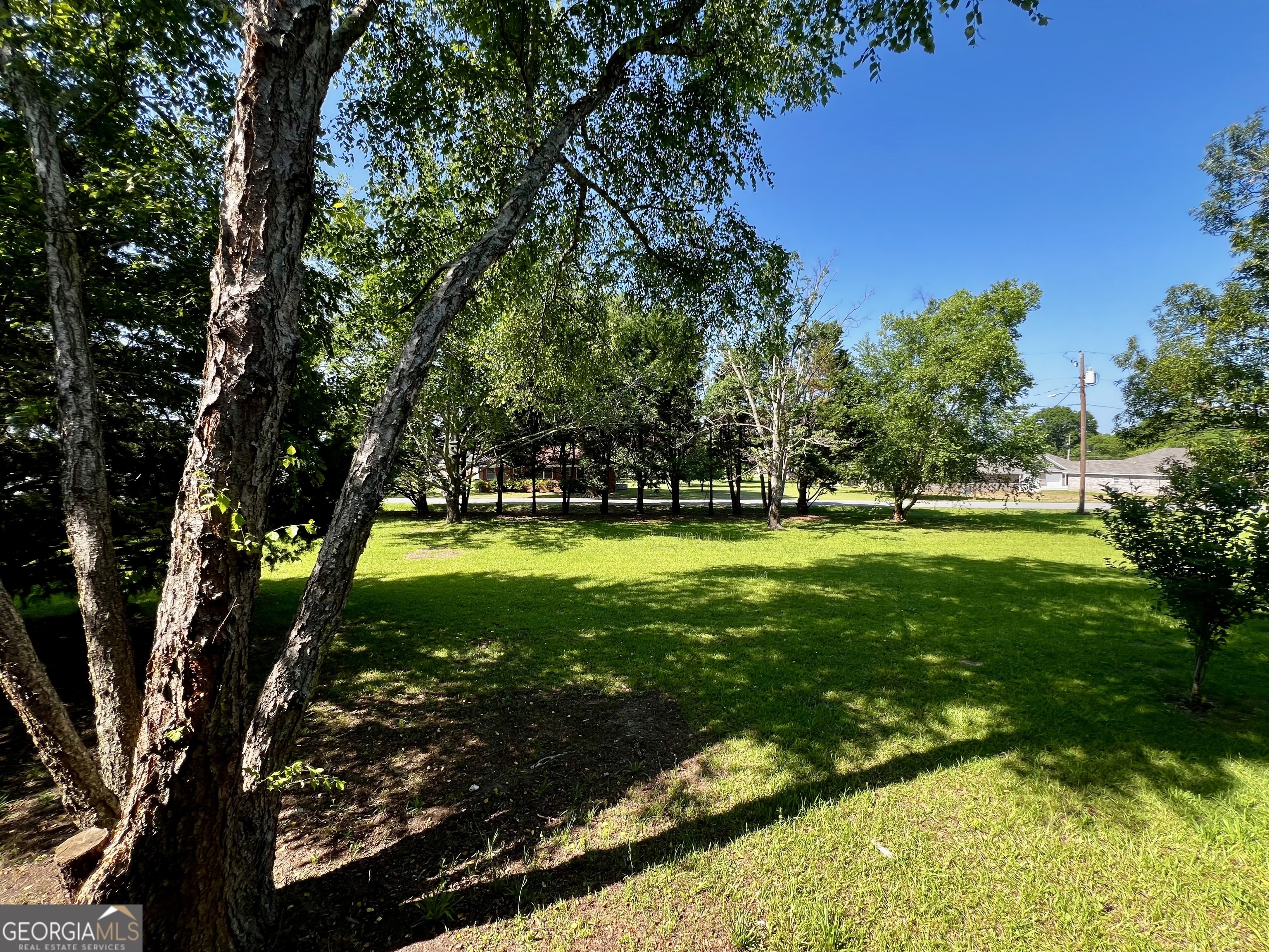1311 3rd Street Dudley, GA 31022 - Photo 9 of 43 a view of yard with swimming pool and green space