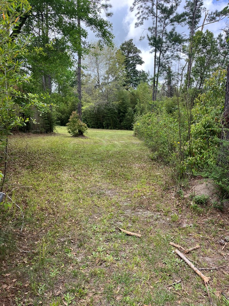 609 Lakegrove Road Wewahitchka, FL 32465 - Photo 10 of 39 Gallery Image 10