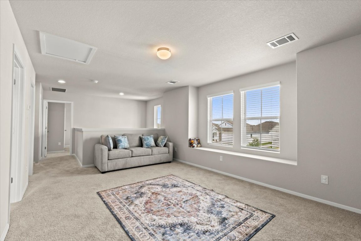 1296 Teychas Drive Kyle, TX 78640 - Photo 22 of 39 a living room with furniture and a rug