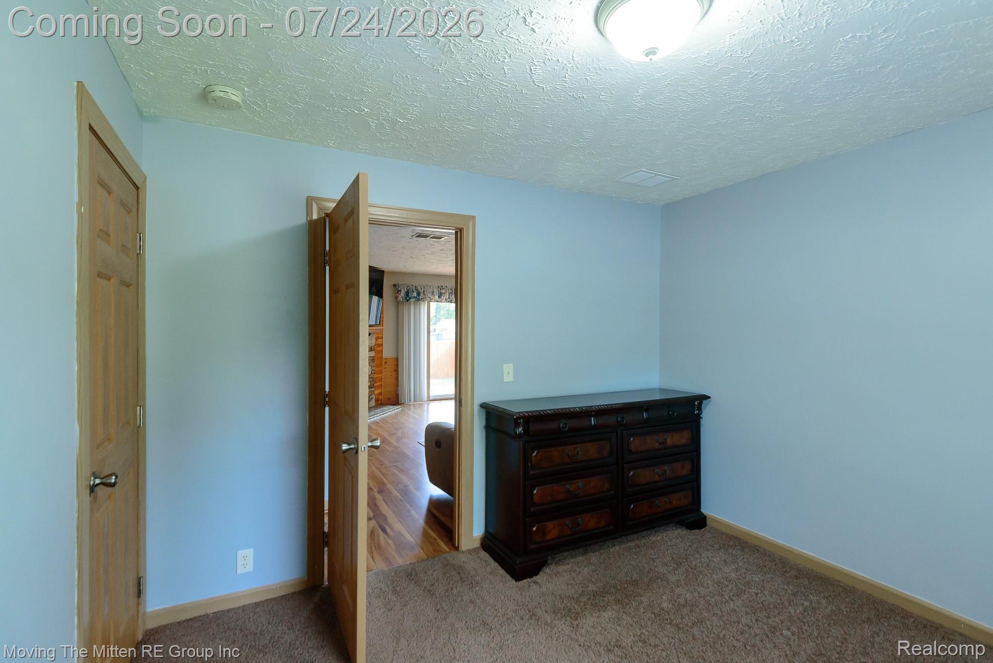37460 Tyler Road Romulus, MI 48174 - Photo 38 of 52 Carpeted room with light blue wall paint, natural wood-finish doors, and a ceiling-mounted light fixture
