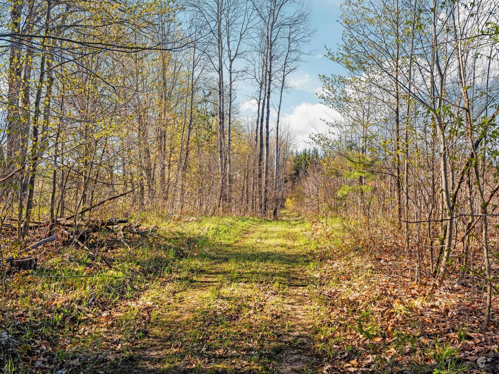 0 East 20th Road, Unit NEAREST ADDRESS ACROSS T Mesick, MI 49668 - Photo 17 of 27