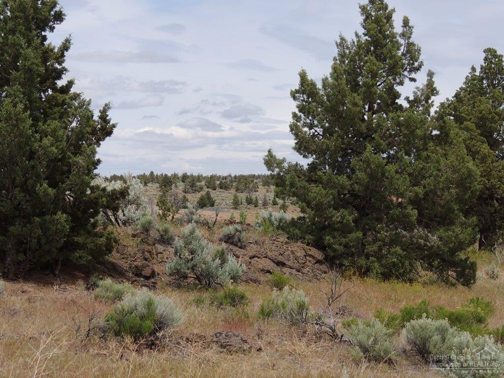 16625 Southwest Ranchview Road Powell Butte, OR 97753 - Photo 2 of 16 Additional Photo