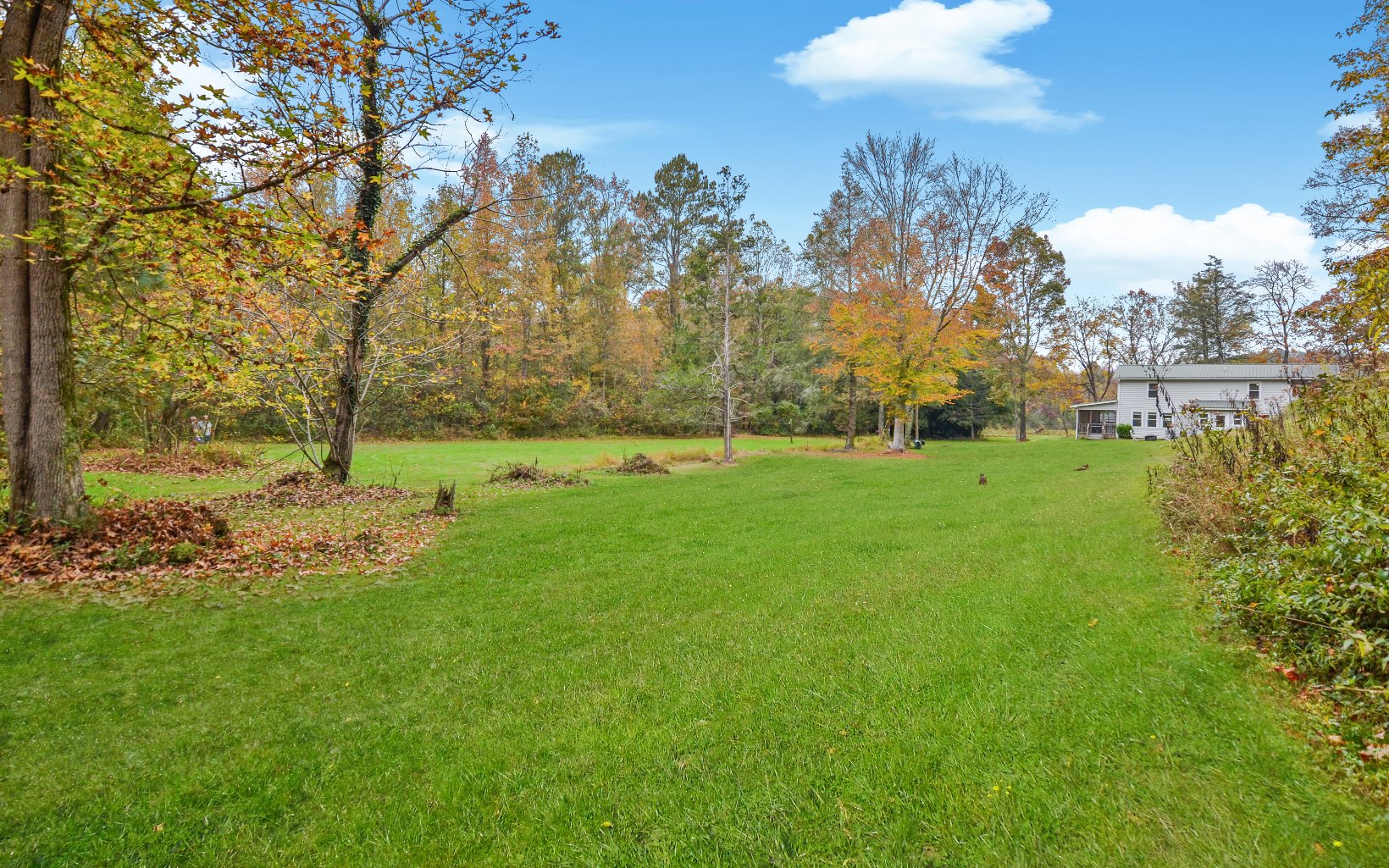 116 Back Pine Way Ellijay, GA 30536 - Photo 37 of 42 Additional View