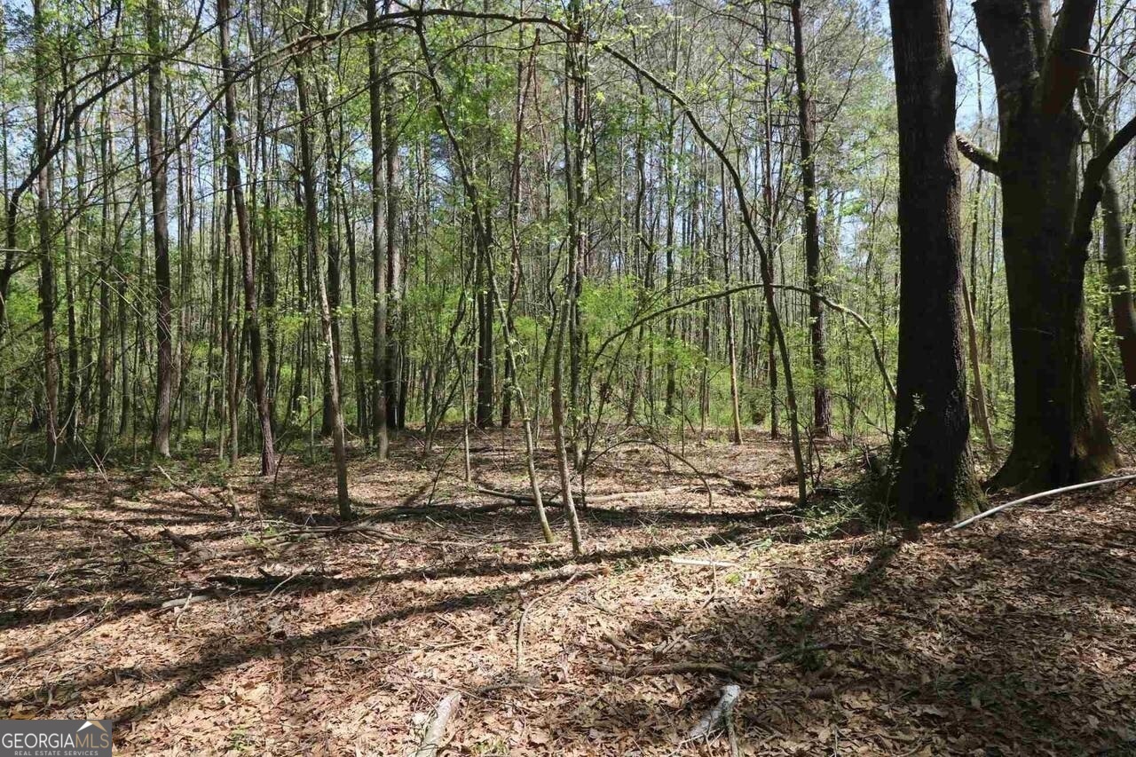0 Old Conyers Road Stockbridge, GA 30281 - Photo 3 of 4 a backyard of a house with lots of green space