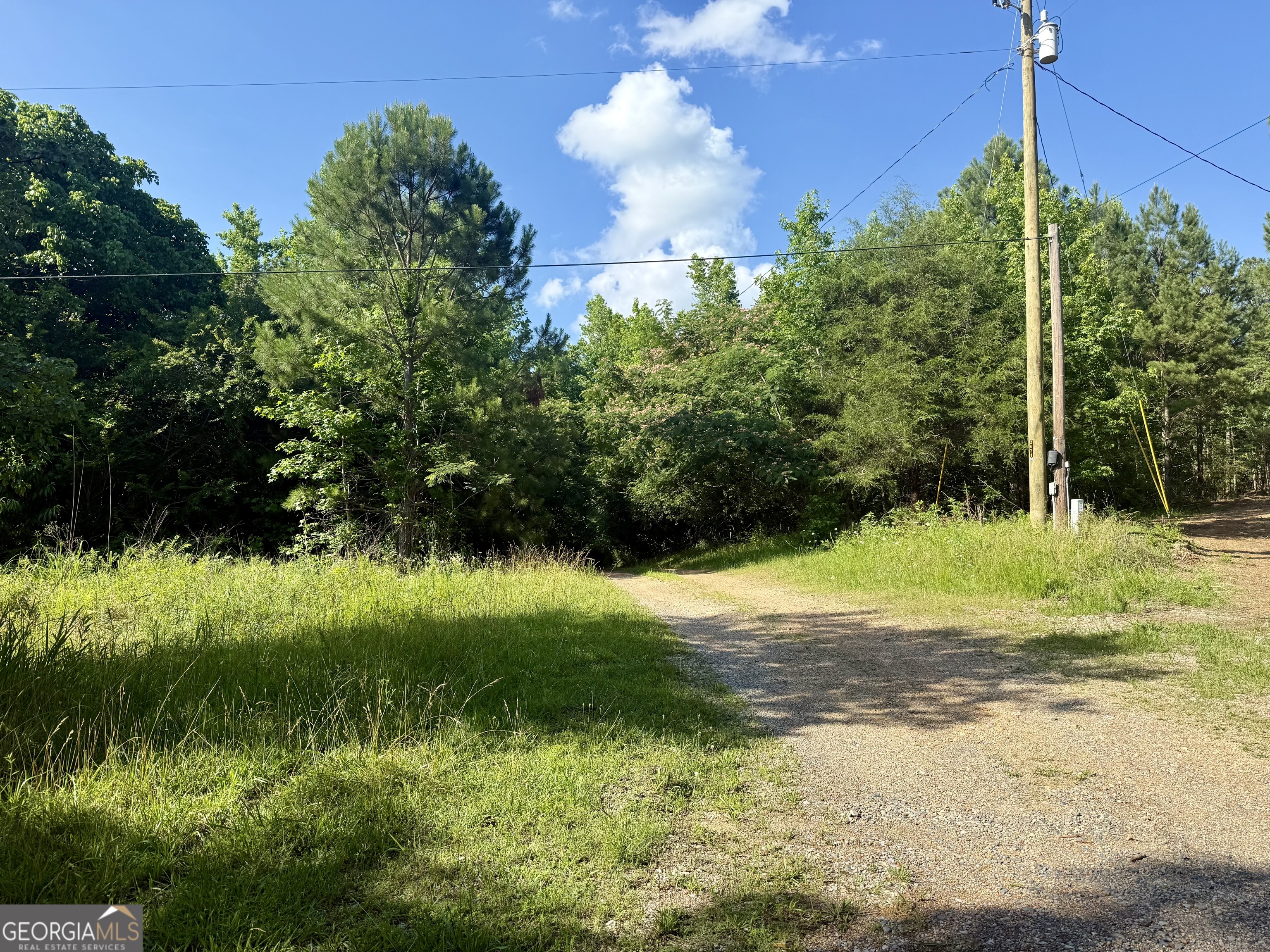 249 Weems Road Lyerly, GA 30730 - Photo 7 of 16