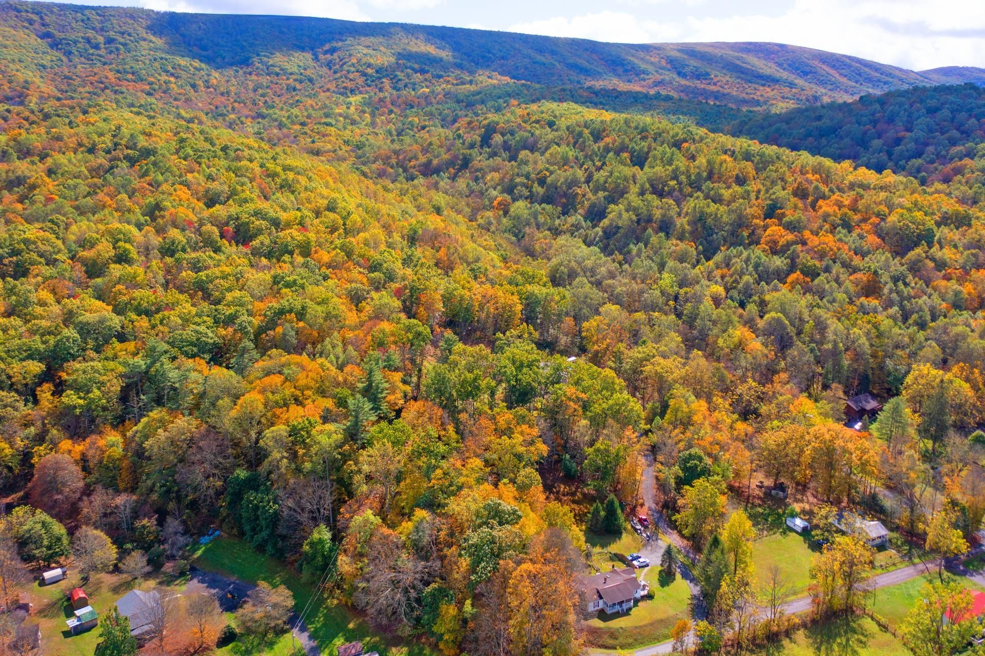 65 Cubbley Road Hot Springs, VA 24445 - Photo 49 of 56