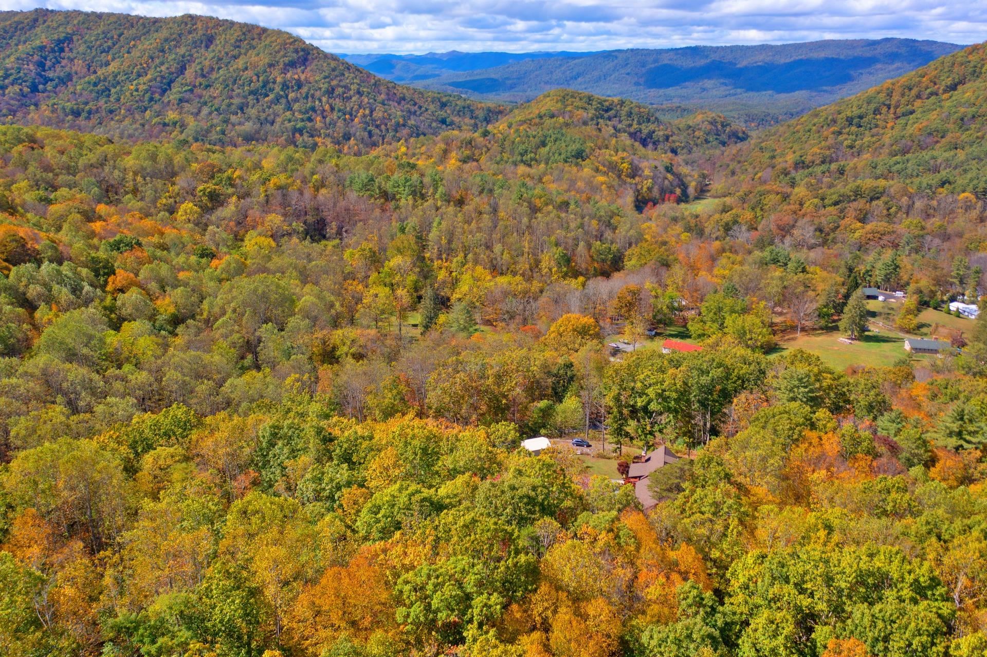 65 Cubbley Road Hot Springs, VA 24445 - Photo 50 of 56 a view of a green field