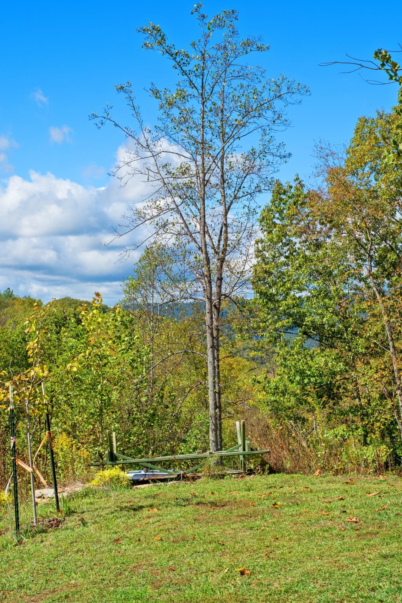 65 Cubbley Road Hot Springs, VA 24445 - Photo 51 of 56