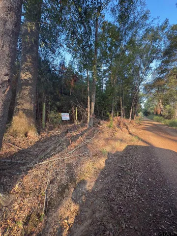 a backyard of a house with a large tree