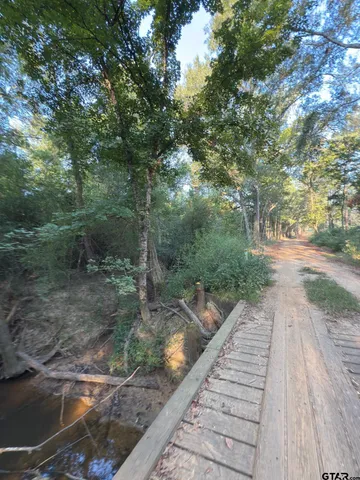 a view of a pathway with a yard