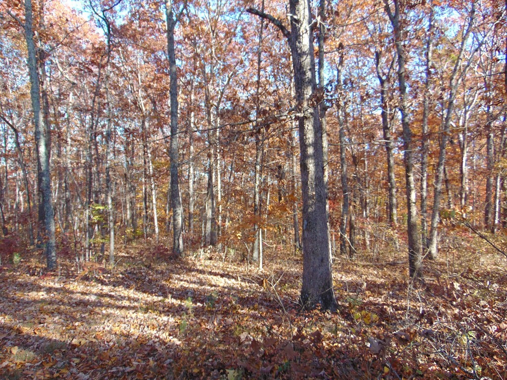 0 Raccoon Ridge Road Spring City, TN 37381 - Photo 48 of 70