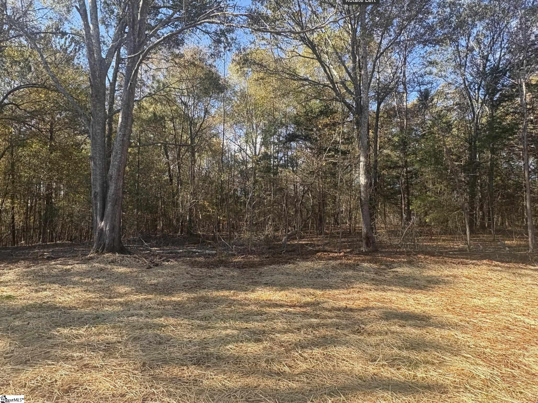 121 Perry Dean Road Laurens, SC 29360 - Photo 15 of 18