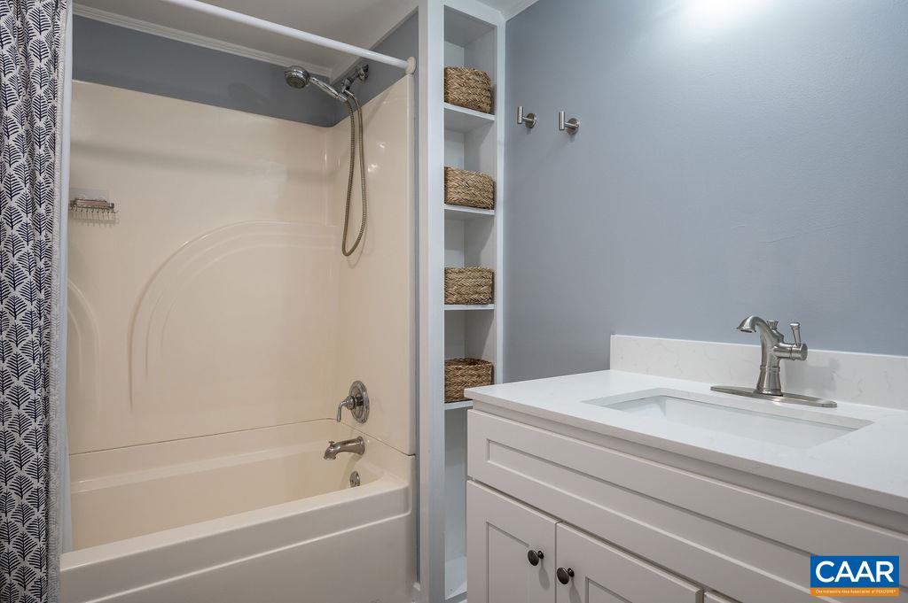 8165 Open Gate Lane Afton, VA 22920 - Photo 18 of 39 a bathroom with a bathtub and a sink