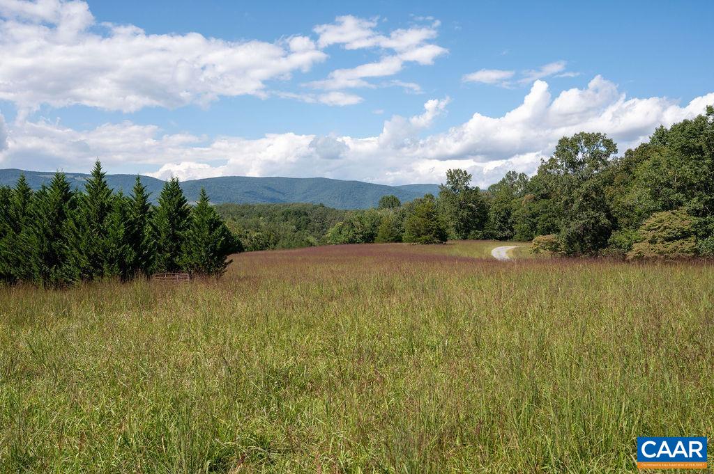 8165 Open Gate Lane Afton, VA 22920 - Photo 25 of 39 a view of lake with green space