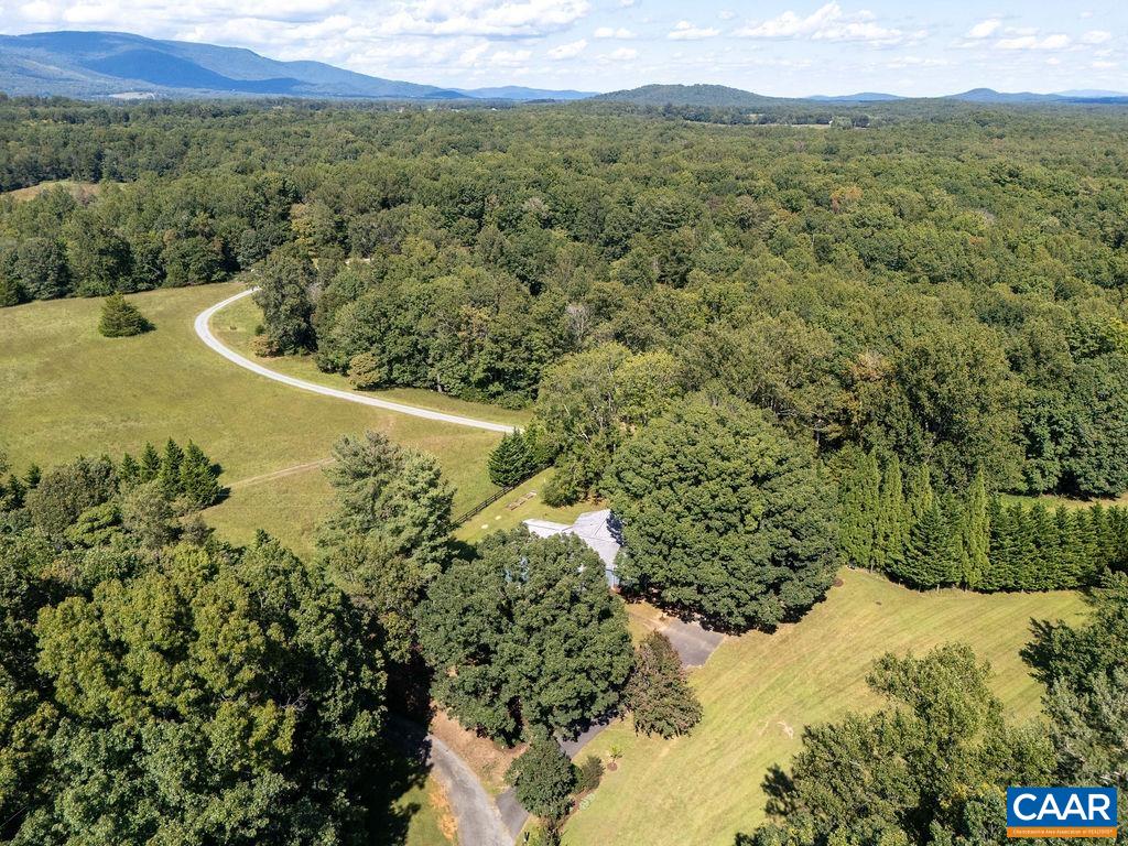 8165 Open Gate Lane Afton, VA 22920 - Photo 37 of 39 a view of a forest with a forest