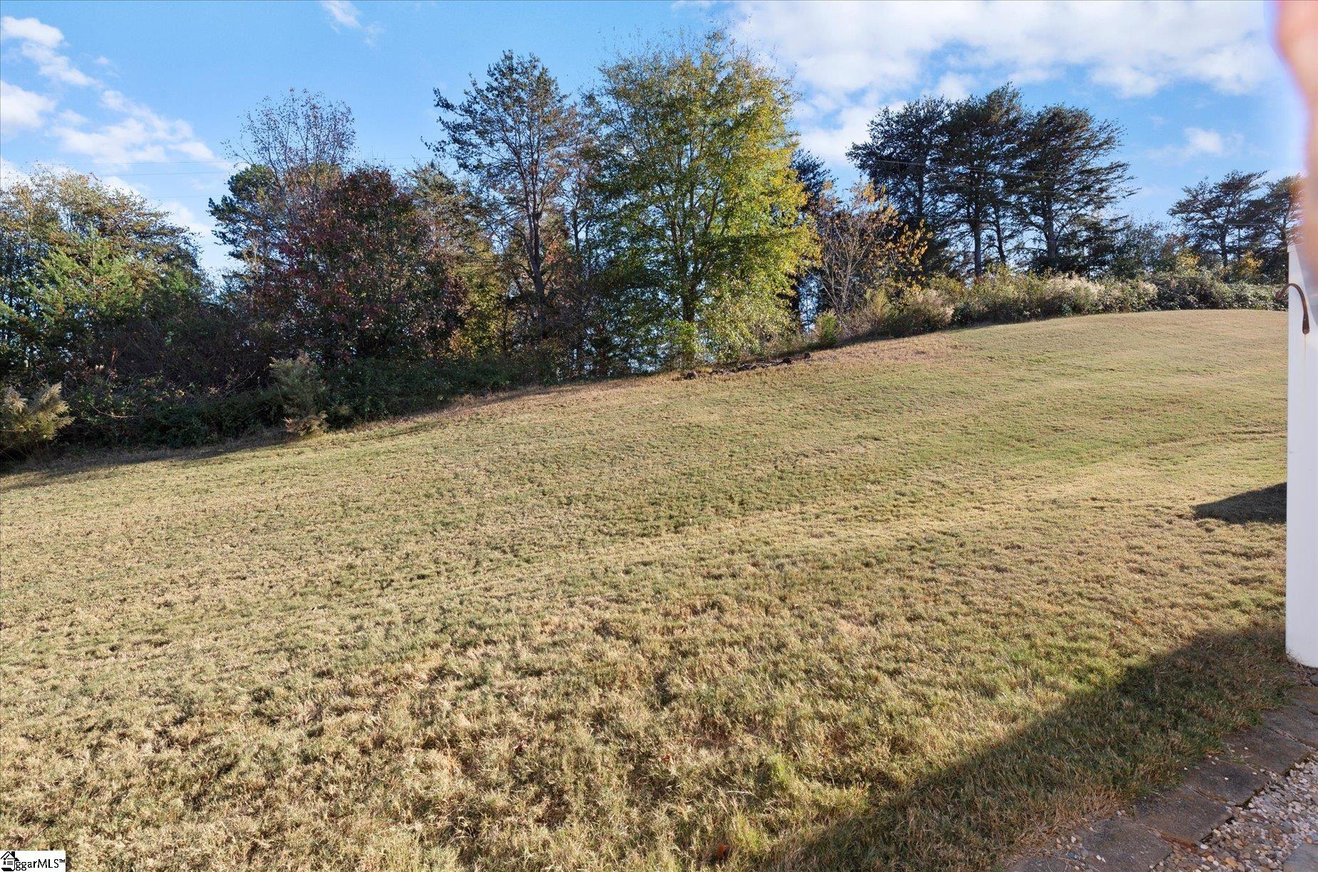 78 Spring Crossing Circle Greer, SC 29650 - Photo 12 of 27