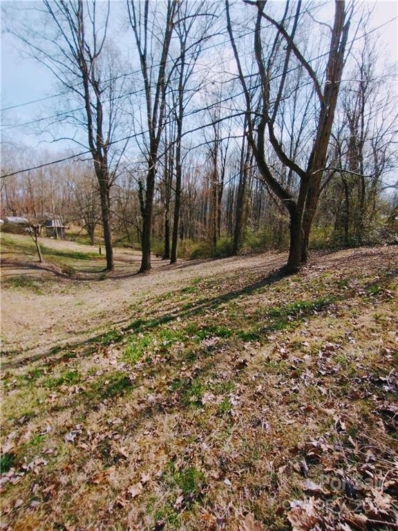 89 Conner Road Candler, NC 28715 - Photo 2 of 31 Gallery Image 2